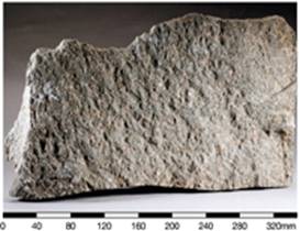 Fine ash vitric tuff of the Kau Sai Chau Volcanic Group